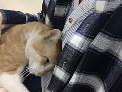 -通透堂中医·精准推拿(旗舰店)