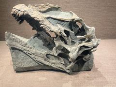 -自贡恐龙博物馆