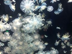 -西安华夏文旅水世界