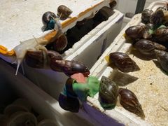 -华声天桥民俗文化园