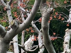 -常州古运河南大街文化旅游区-人民公园