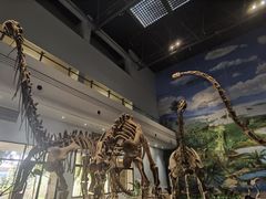 -自贡恐龙博物馆