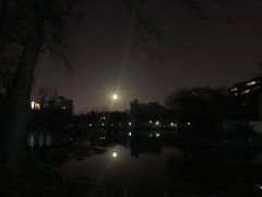 -莲湖公园