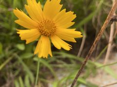 -南京市江宁方山