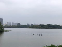 -海珠湖公园
