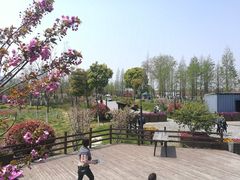 -田园东方蜜桃村的田野营地