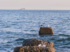 -银沙滩浴场