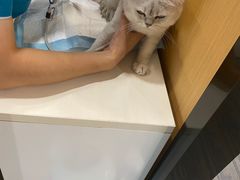 -pd派德宠物中心医院24H急重症·眼科中心·血液透析中心(嵩山北路店)