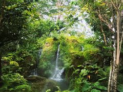 -Chom Cafe and Restaurant