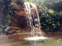 -常州环球恐龙城维景国际大酒店