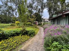 -四川大学(华西校区)