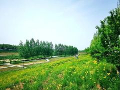 -洨河生态公园