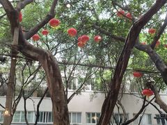 -小豆海棠(嘉兴路店)