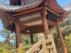 -铁山坪森林公园