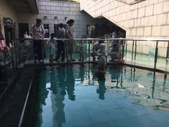 -陕西自然博物馆