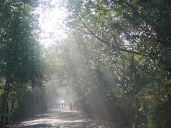 -盐城丹顶鹤湿地生态旅游区