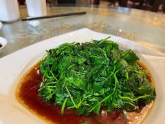 金花菜酒香-新聚丰菜馆(太监弄店)