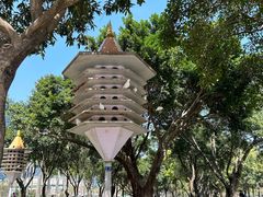 -顺峰山公园
