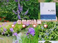 -云溪植物园