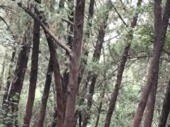 -云龙山