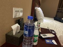 -如家旗下-成都蜀汉东路一品天下地铁站睿柏·云酒店