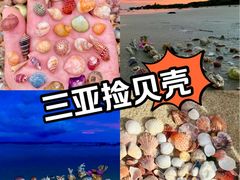 -老何家后安粉·糟粕醋海鲜火锅(三亚湾椰梦长廊店)
