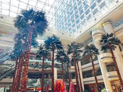 -威斯汀舞台餐厅