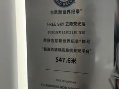 -平安金融中心云际观光层