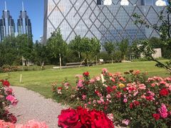 -中央广播电视总台(光华路办公区)