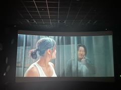 -百美汇影城(LUXE嘉里中心店)