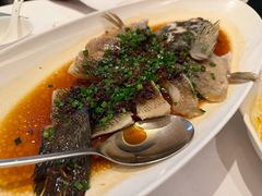 -南麓·浙里(外滩店)