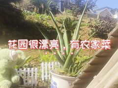 -鱼乐岛餐厅·户外花园主题餐厅