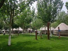 -九十九顶毡房(阜石路店)