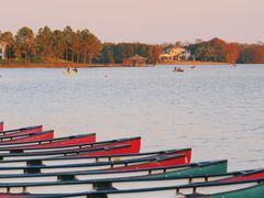 -上海海湾国家森林公园