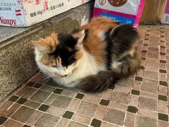 -颓记茶餐厅(美景总店)
