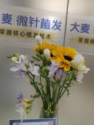 -大麦微针植发全国连锁