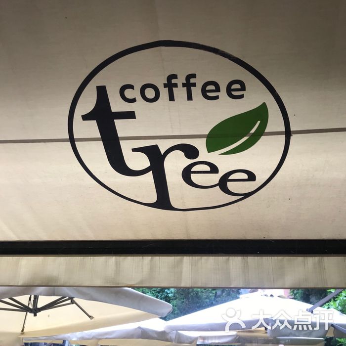 coffee tree