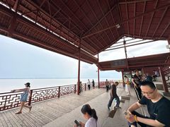 -观潮胜地公园