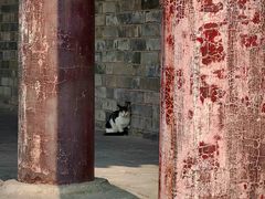 -西安城墙·碑林历史文化景区