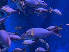 -成都浩海立方海洋公园