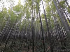 -南山风景名胜区