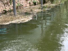 -龙潭大峡谷