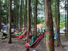 -武陵山森林公园