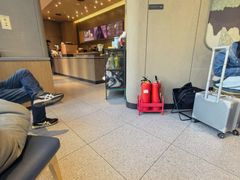 -星巴克(北京望京店)