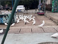 -国色天乡三期陆地乐园
