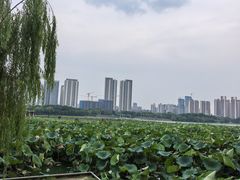 -月湖风景区