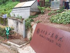 -马王堆汉墓遗址