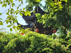 -丝绸小镇荻港古村