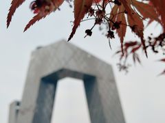 -中央广播电视总台(光华路办公区)