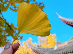 -西园戒幢律寺